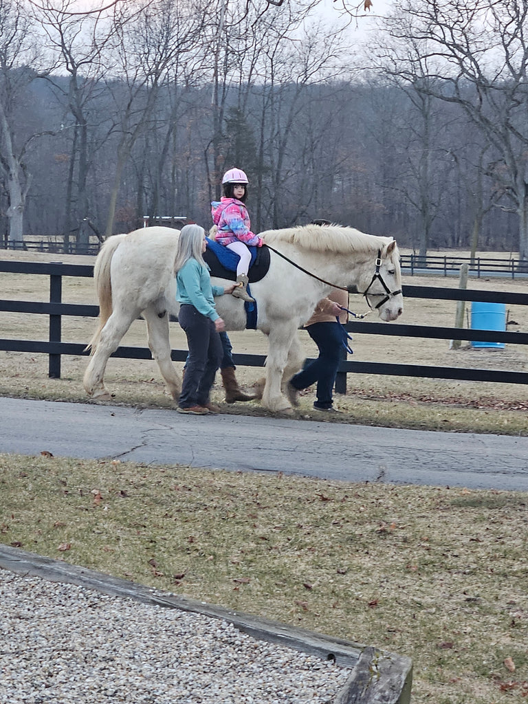 Sponsor A Brave Gown For Ten-Year-Old Ava in Treatment & Loves Horses-Sponsored